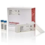 Thermo Fisher Scientific ViewRNA Tissue Positive Control Kit (2-plex) (4 rat kidney slides + probes)