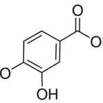 Merck PROTOCATECHUIC ACID