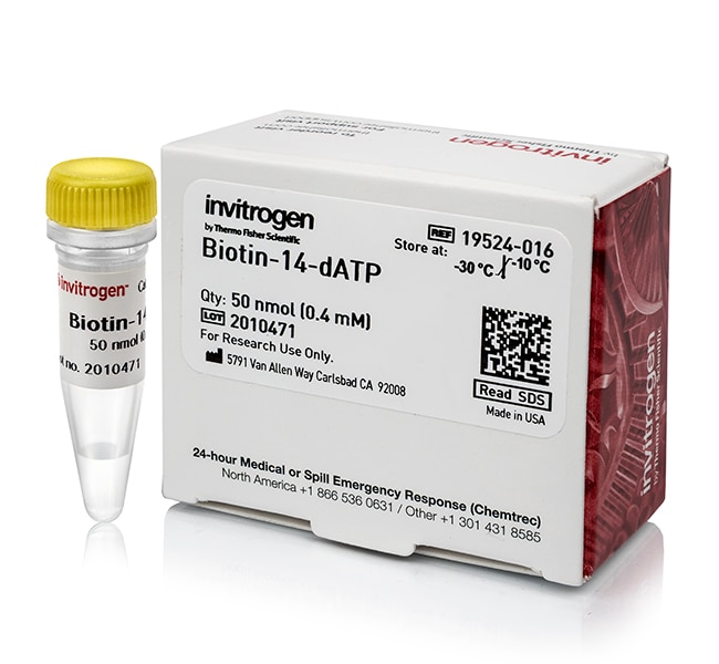 Thermo Fisher Scientific Biotin-14-CTP