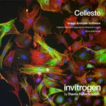 Thermo Fisher Scientific Celleste Image Analysis Software, network license, single-user seat upgrade