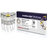 Thermo Fisher Scientific KpnI, HC (50 U/μL)