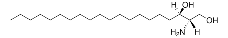 Merck Sphinganine (d20:0)