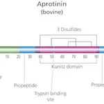 Merck APROTININ FROM BOVINE LUNG AFFINITY PURI