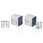 Thermo Fisher Scientific ViralSEQ Lentivirus Physical Titer Kit, 100 reactions