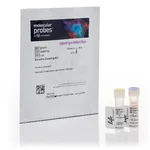 Thermo Fisher Scientific Bacteria Counting Kit, for flow cytometry