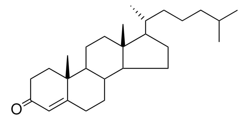 Merck 17-(1,5-DIMETHYL-HEXYL)-DIMETH - 25 MG&