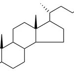 Merck 17-(1,5-DIMETHYL-HEXYL)-DIMETH - 25 MG&