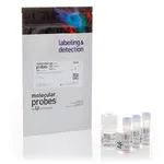 Thermo Fisher Scientific FluoReporter lacZ Flow Cytometry Kit