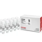Thermo Fisher Scientific TE, pH 7.0, RNase-free, 10 x 1 mL