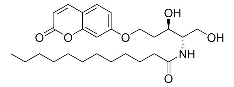 Merck RBM14C12
