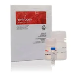 Thermo Fisher Scientific Fluo-4 NW Calcium Assay Kit, 10 microplates