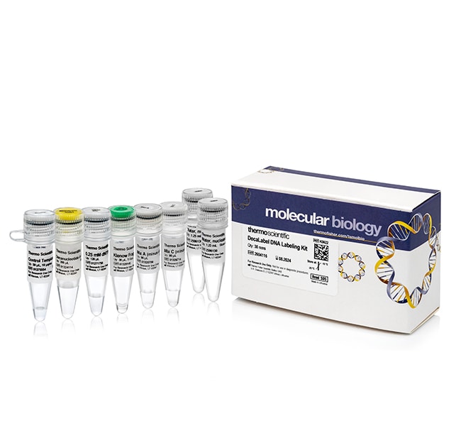 Thermo Fisher Scientific DecaLabel DNA Labeling Kit