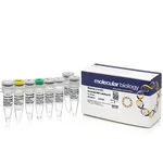 Thermo Fisher Scientific DecaLabel DNA Labeling Kit