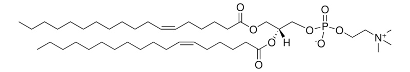 Merck 18:1 (Delta6-Cis) PC