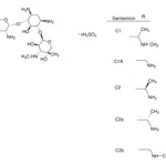 Merck GENTAMICIN SULFATE