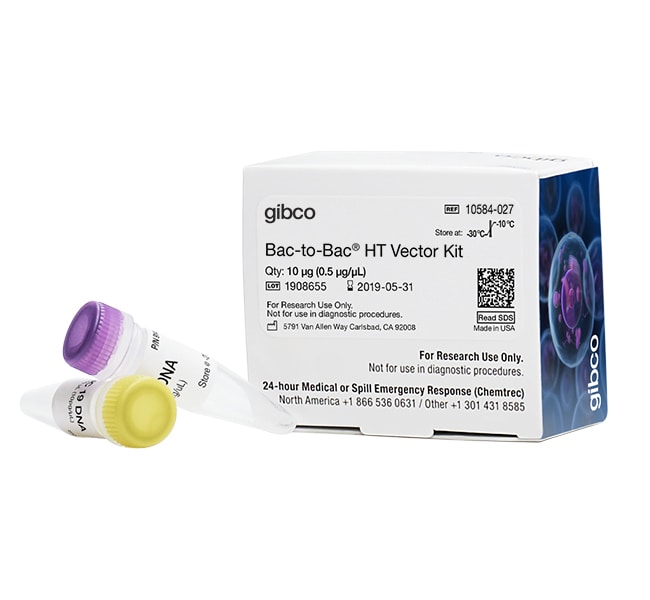 Thermo Fisher Scientific Bac-to-Bac HT Vector Kit