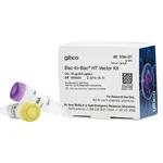 Thermo Fisher Scientific Bac-to-Bac HT Vector Kit