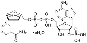 Merck B-NICOTINAMIDE ADENINE DINUCLEOTIDE