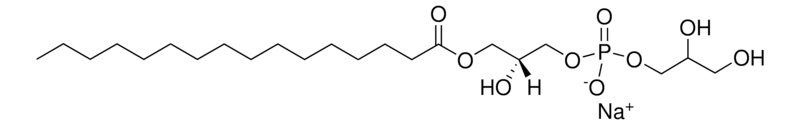 Merck 16:0 Lyso PG