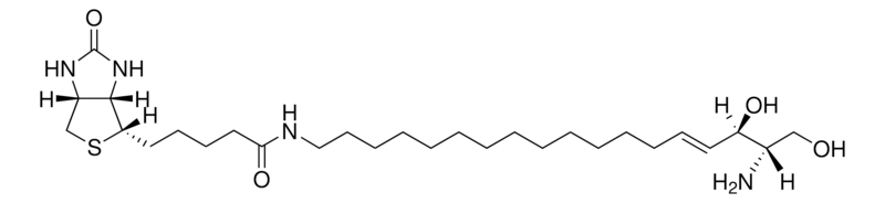 Merck Biotin Sphingosine