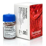 Thermo Fisher Scientific DETACHaBEAD CD19 Kit