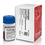 Thermo Fisher Scientific Dynabeads M-280 Sheep Anti-Mouse IgG, 2 mL
