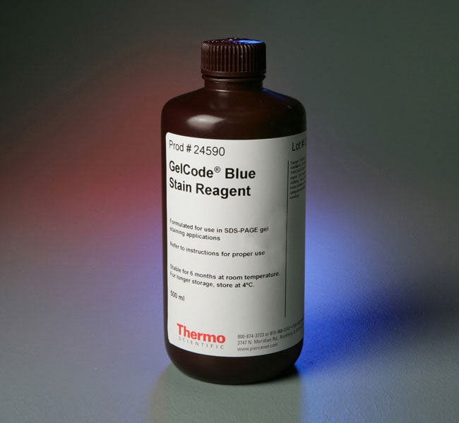 Thermo Fisher Scientific GelCode Blue Stain Reagent, 500 mL
