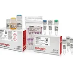 Thermo Fisher Scientific TrueTag Donor DNA Kit, YFP