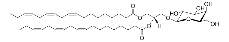 Merck 18:3 MGDG (synthetic)