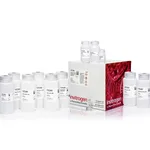 Thermo Fisher Scientific PureLink Expi Endotoxin-Free Buffer Set