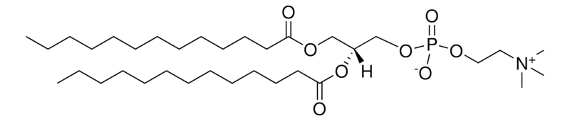 Merck 13:0 PC