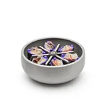 Thermo Fisher Scientific HAEMAFlex 6/8 Swinging Bucket Rotor, 6 x 550mL blood bags, 5,000 rpm