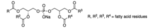 Merck 1-(3-SN-PHOSPHATIDYL)-RAC-GLYCEROL SODI&