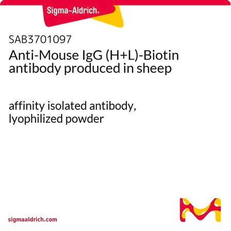 Merck Anti-Mouse IgG (H+L)-Biotin antibody produced in sheep