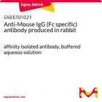 Merck Anti-Mouse IgG (Fc specific) antibody produced in rabbit