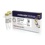 Thermo Fisher Scientific Eco24I (BanII) (10 U/μL)