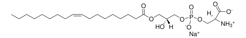 Merck 18:1 Lyso PS
