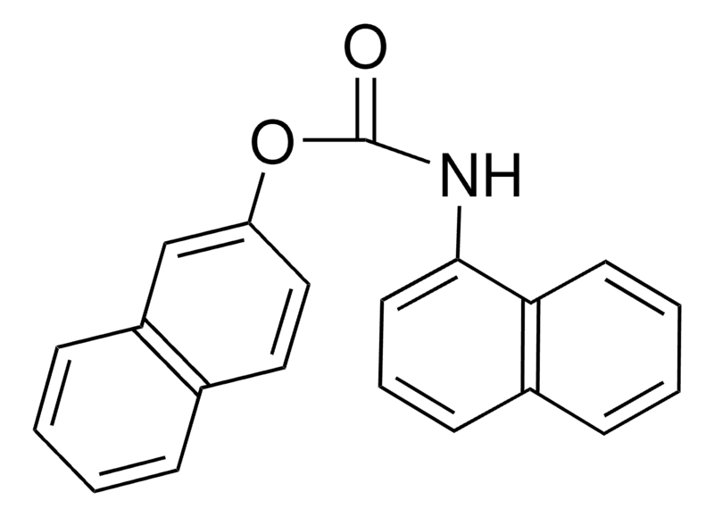 Merck 2-NAPHTHYL N-(1-NAPHTHYL)CARBA - 50 MG&