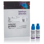 Thermo Fisher Scientific Cell Sorting Set-up Beads (for green-yellow lasers)