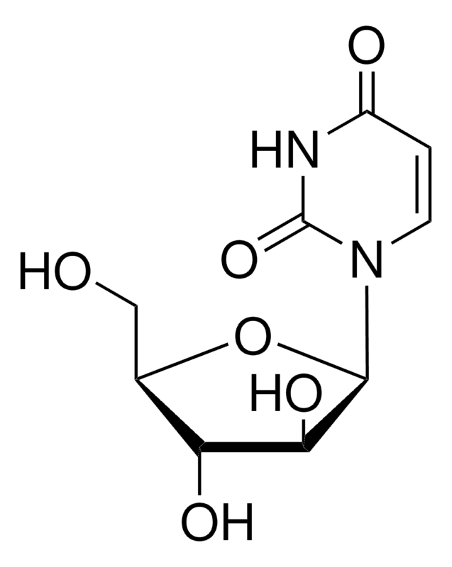 Merck Uracil arabinoside