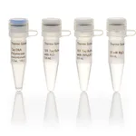 Thermo Fisher Scientific Taq DNA Polymerase, recombinant (5 U/μL), 100 Units