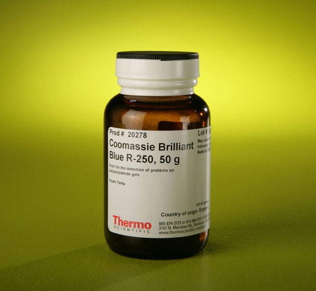 Thermo Fisher Scientific Coomassie Brilliant Blue R-250 Dye, 50 g