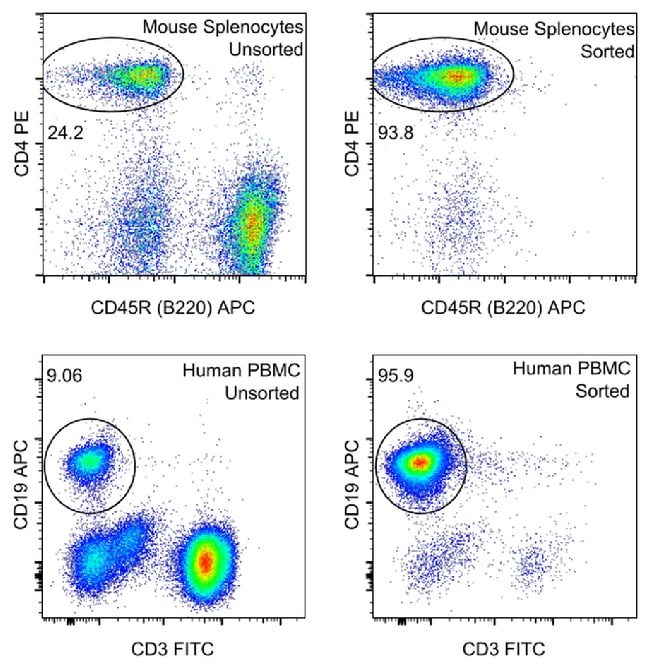 Thermo Fisher Scientific MagniSort Streptavidin Negative Selection Beads, 25 Tests