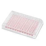 Thermo Fisher Scientific BioLite 6W Plate with Lid, Cell Culture-treated surface
