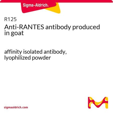 Merck Anti-RANTES antibody produced in goat
