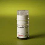 Thermo Fisher Scientific MagnaBind Protein G Beads