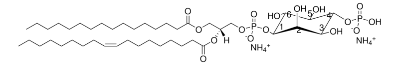 Merck 16:0-18:1 PI(4)P