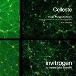 Thermo Fisher Scientific Celleste 2D Deconvolution with GPU Acceleration Module