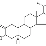 Merck 2-ANISYLIDENE-5-ALPHA-CHOLESTA - 1 MG&