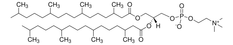 Merck 4ME 16:0 PC